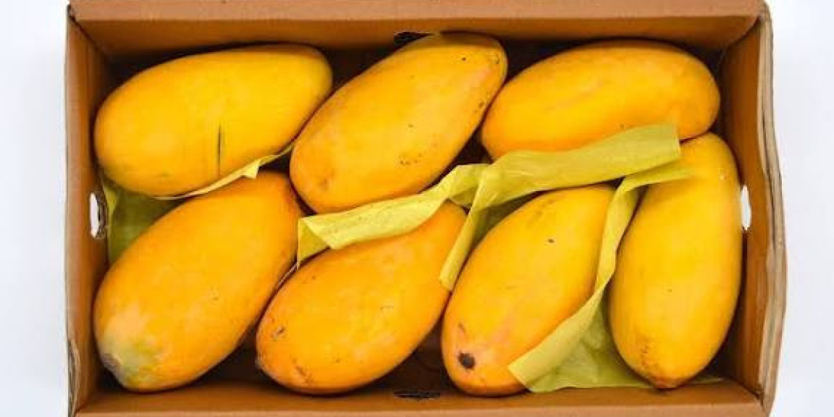 Mango Price in Pakistan 2026: What Are the Latest Rates and Market Trends?